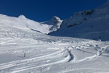 tracks in the snow