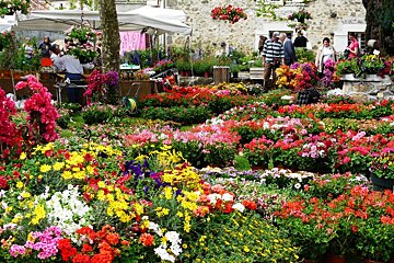 Les Floralies