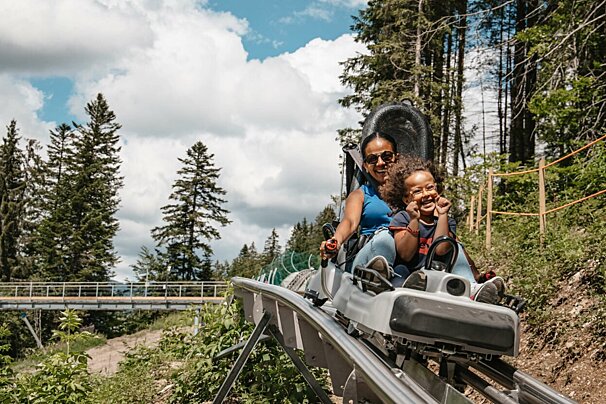 The four seasons luge in Les Gets