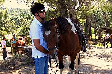 Alpilles Horse Friend
