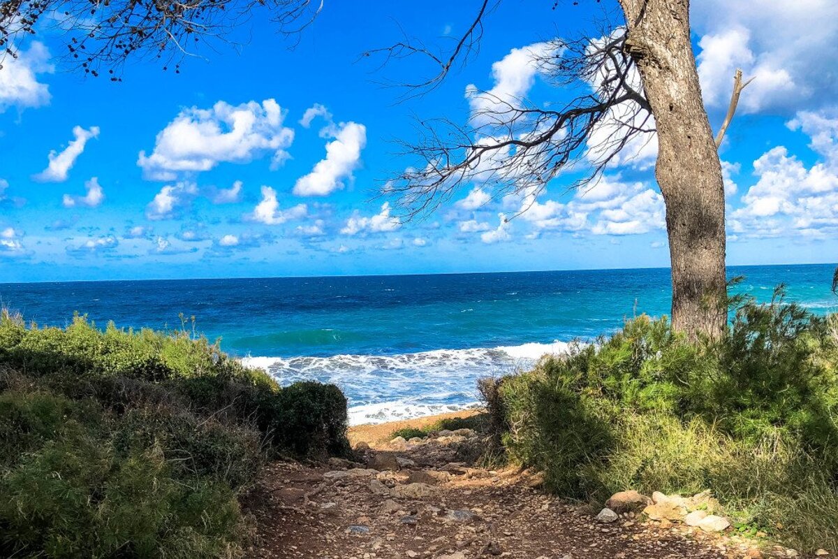 A wintery coastal hike on the Cami de Sa Volta des General