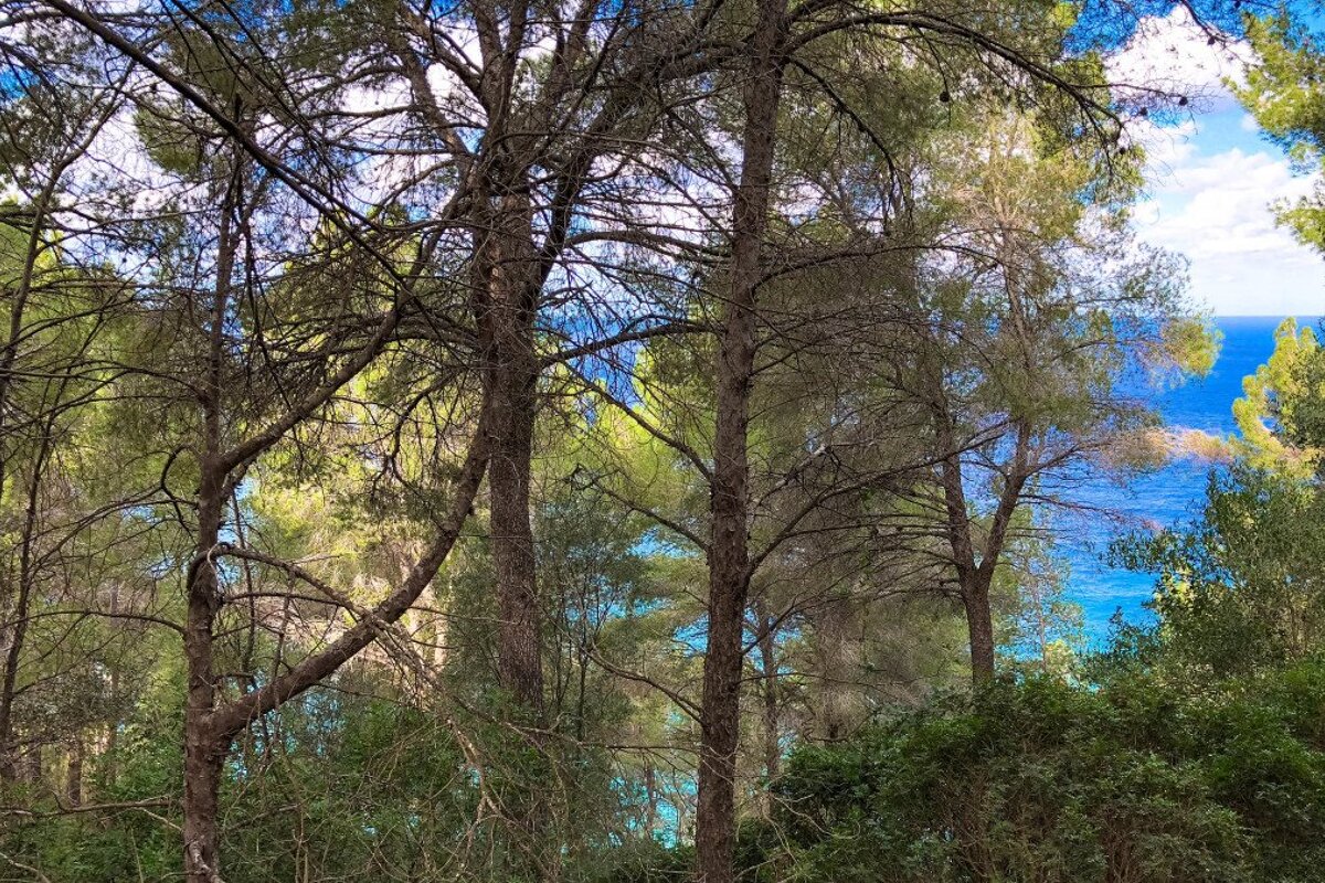 A wintery coastal hike on the Cami de Sa Volta des General