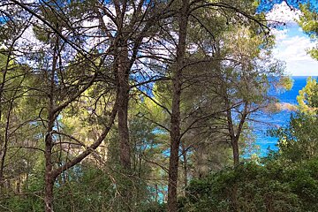 A wintery coastal hike on the Cami de Sa Volta des General