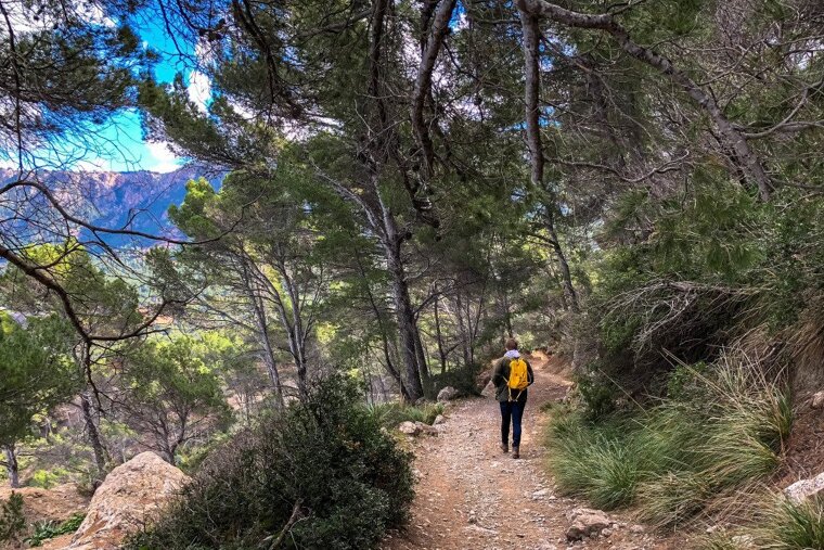 A wintery coastal hike on the Cami de Sa Volta des General