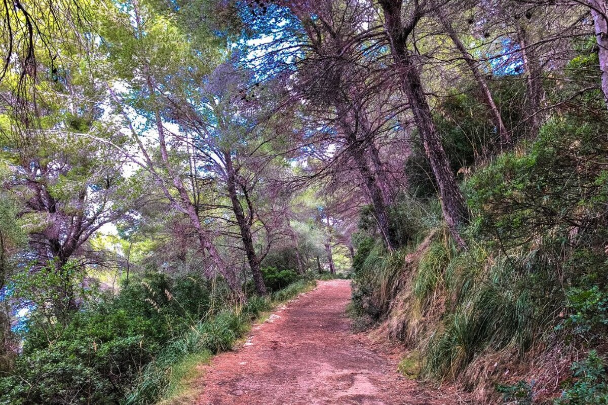 A wintery coastal hike on the Cami de Sa Volta des General