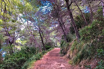 A wintery coastal hike on the Cami de Sa Volta des General