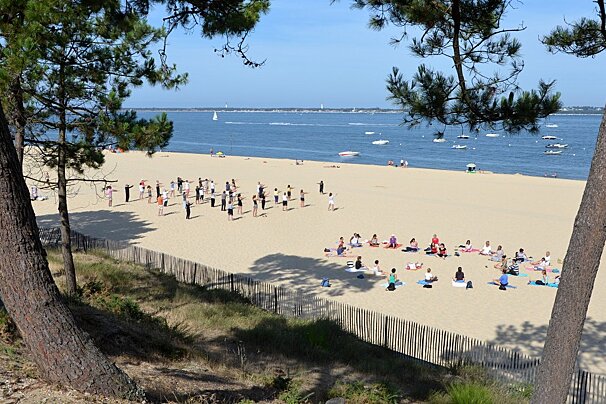 white sands, pine trees, blue water