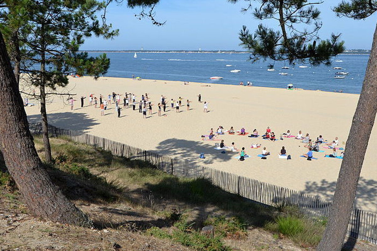 A group of people are doing yoga on a beach