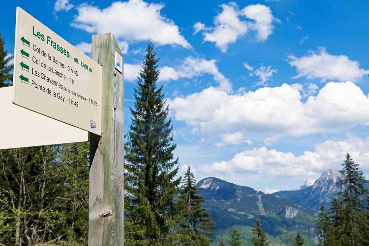 A sign that says les fraises on it in front of a mountain