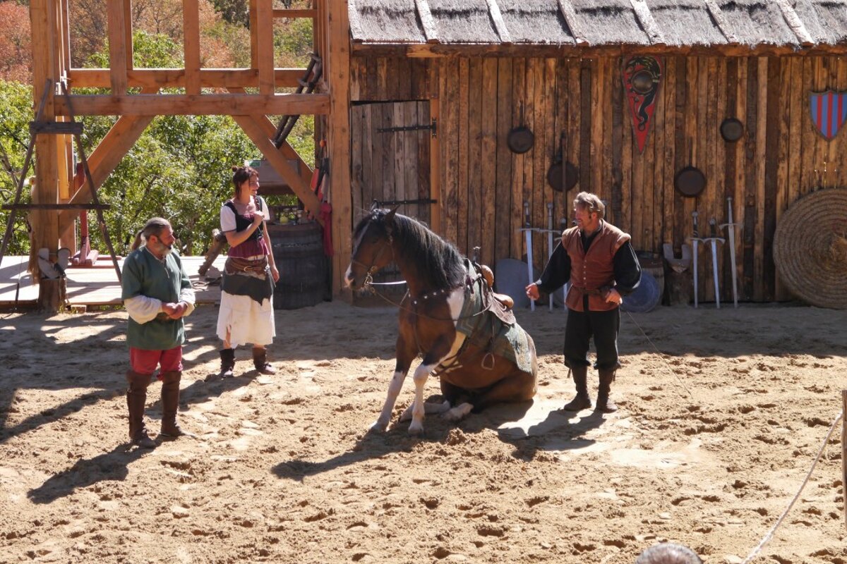 a horse sitting down in a horse show at rocamadour