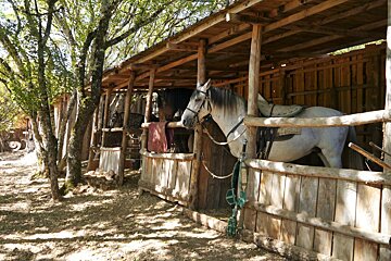 horses in stables at Durandal rocamadour