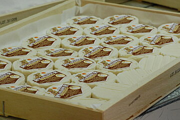 Fete des Fromages Fermiers, Rocamadour
