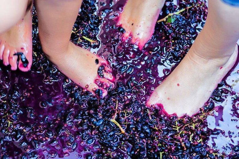What's On in Mallorca September 2018
