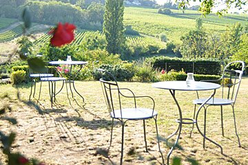 Le Clos Mirande Restaurant, Saint Emilion garden