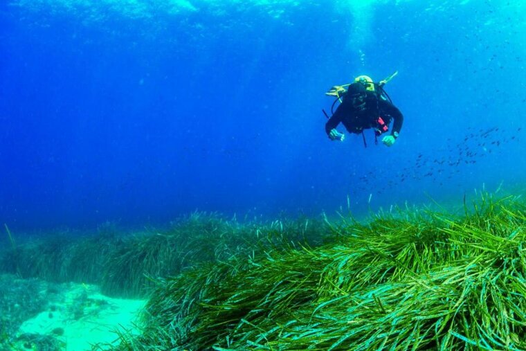 Top 7 adventure sports to do in Ibiza