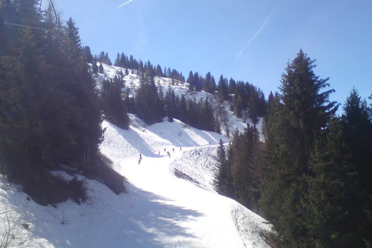 les arcs piste in the trees