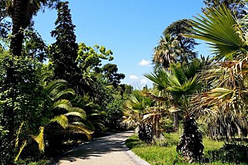 Jardin Botanique de la Villa Thuret