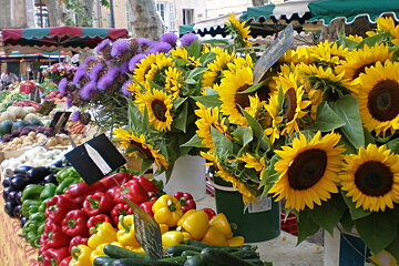 One Day in Provence