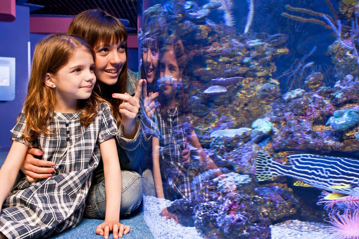 Rainy day activities in Mallorca 2018