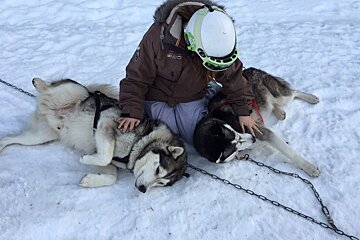 a woman stroking two husky dogs