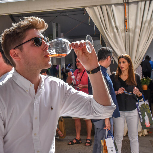 Pollença Wine Fair