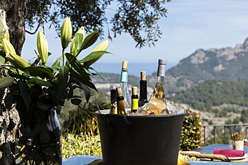 Several bottles of wine are in a bucket of ice