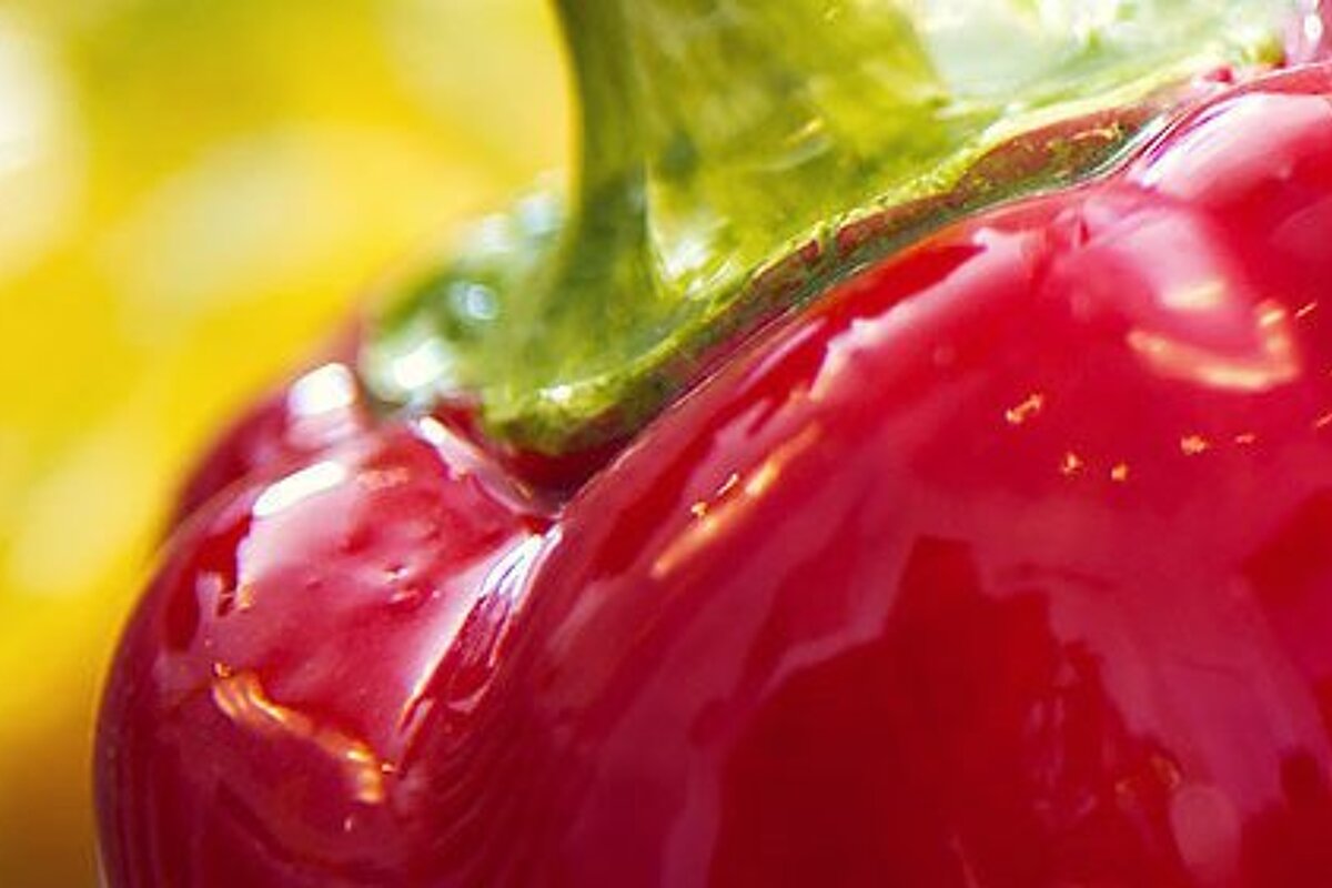 Favre d'Anne Restaurant, Angers main