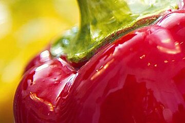 Favre d'Anne Restaurant, Angers main