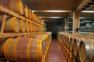 lots of barrels of wine in a storage room