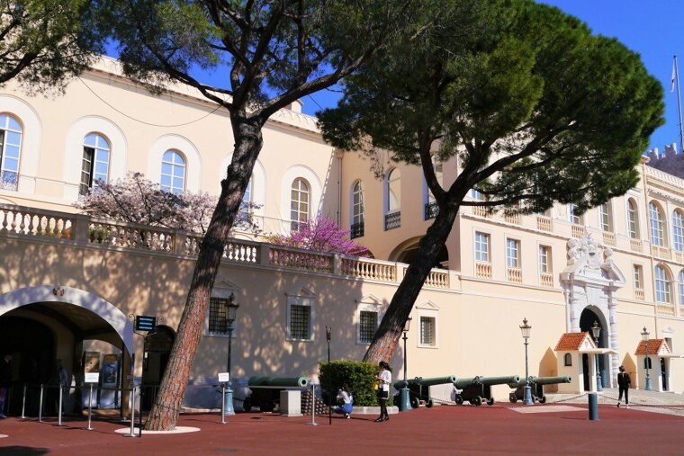 public entrance to palace monaco