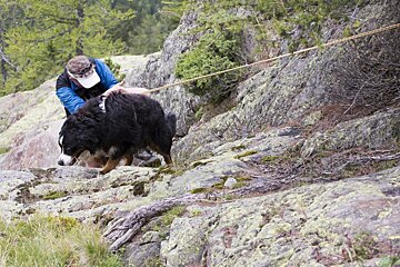 a man and a dog on climbing ropes