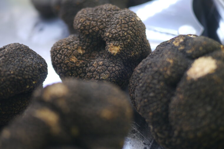 a close up of truffles at a market