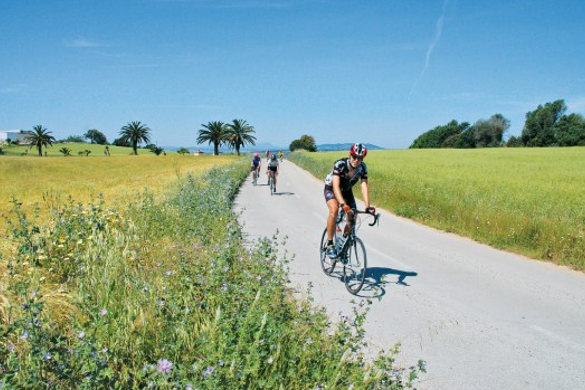 Colonia Sant Jordi to Cap de Ses Salines Cycling Route road bike
