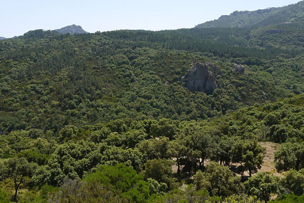 Forests cover a lot of the National Park