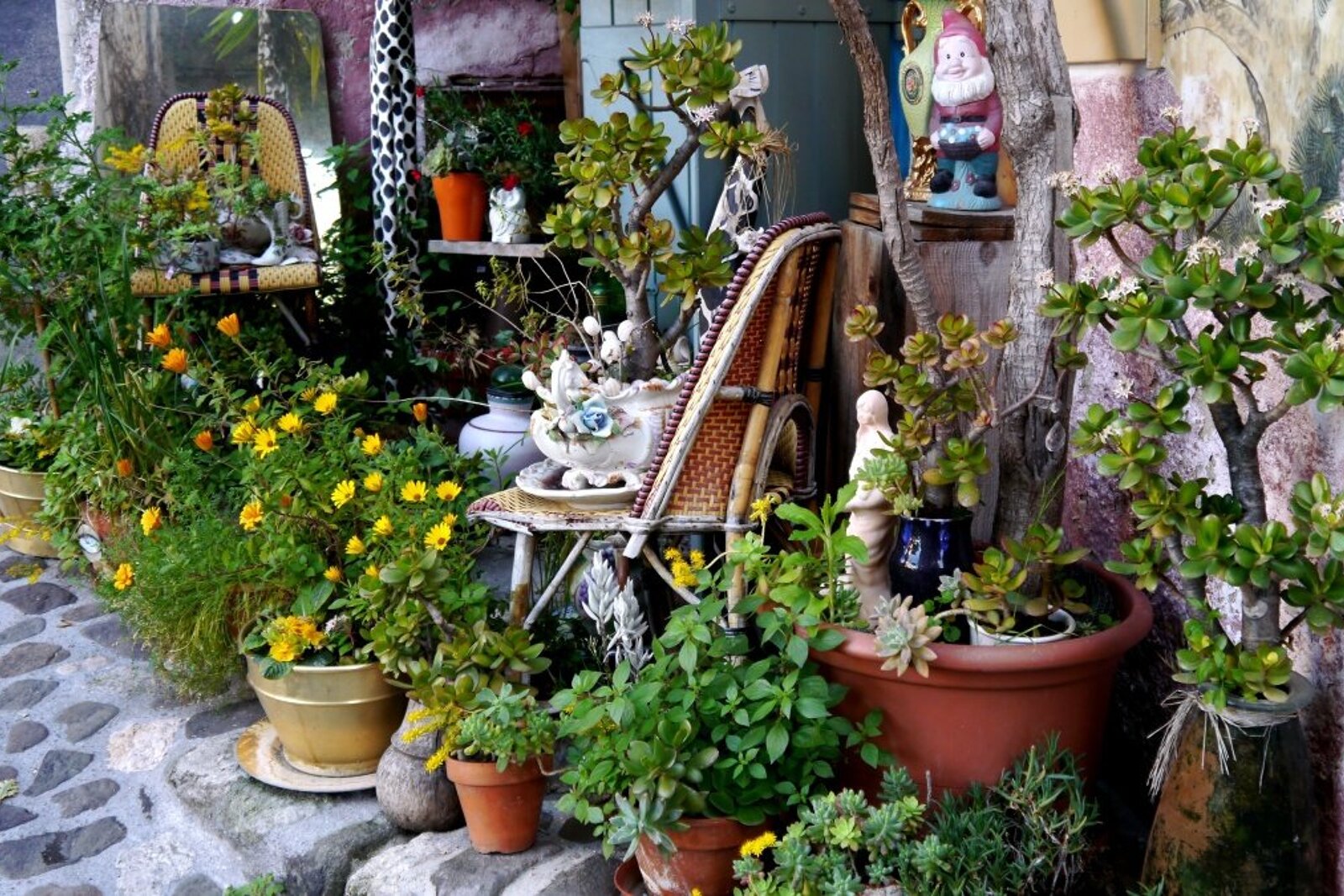 Biot