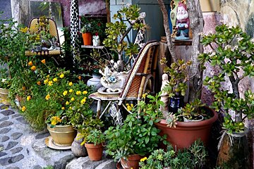 flowers outside a home in Biot