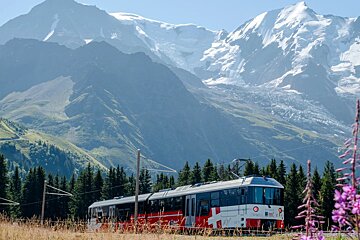 Marguerite - Tramway du Mont Blanc