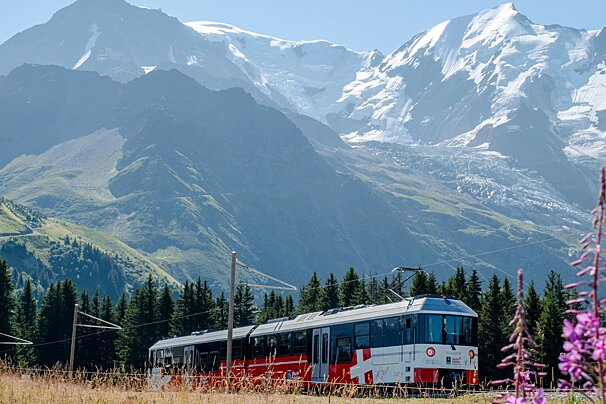 Marguerite - Tramway du Mont Blanc