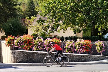 a cyclist passing some flowers