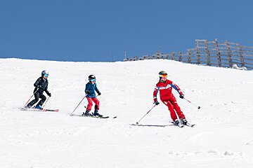 Three skiers (one adult, two children) descend a sunlit snowy slope against a clear blue sky. A wooden fence is in the background.