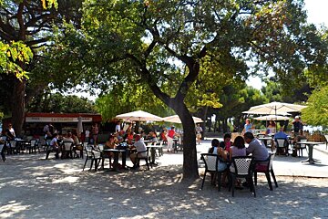 Parc de la Colline du Chateau, Nice Centre