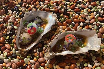 Two oysters are sitting on a pile of beans