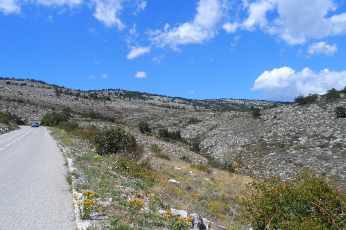 rolling hills on a cycling route
