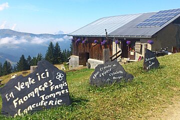 An alpine goat farm in Les Houches, Chamonix Valley