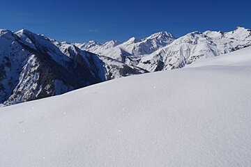 fresh snowfields