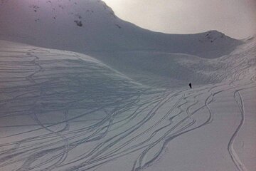 fresh tracks in the powder