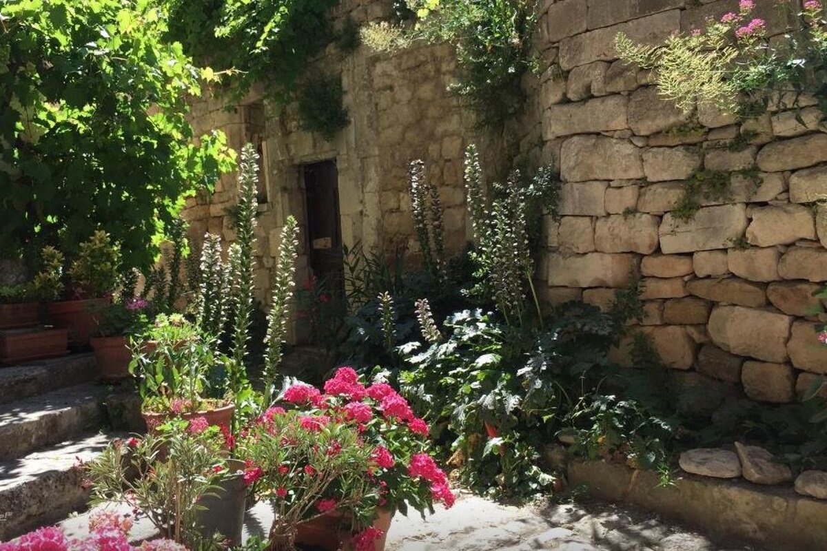 a flower filled area in oppede