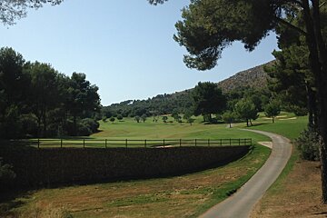 a path at a golf club lined with trees