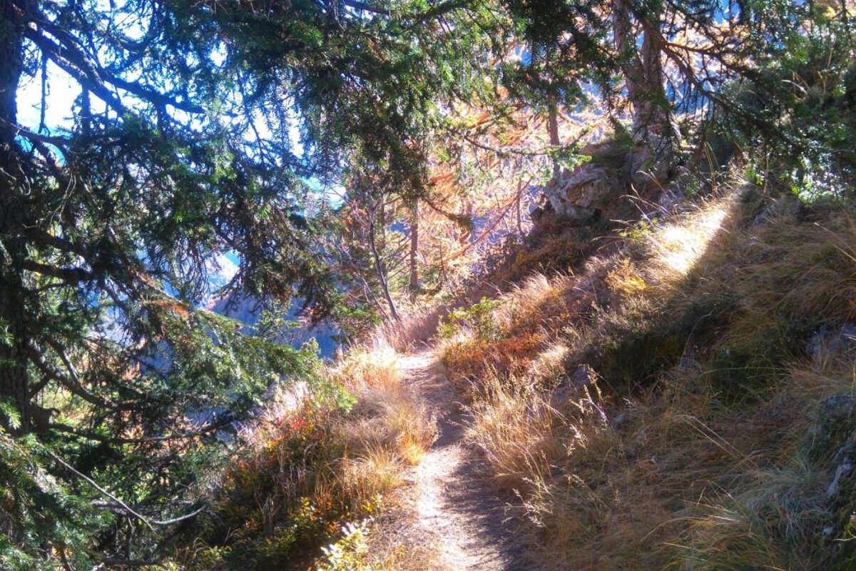 Hiking in Vallorcine near Chamonix Mont Blanc
