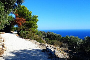 Parc du Mont Boron, Nice